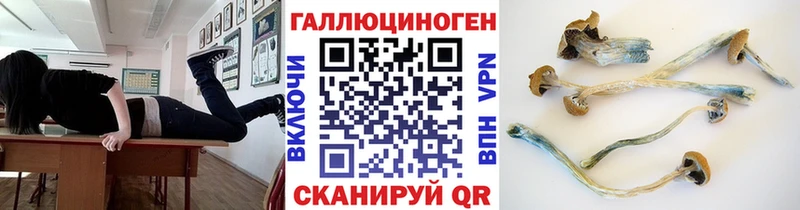 Купить где  Краснозаводск  Псилоцибиновые грибы GOLDEN TEACHER 